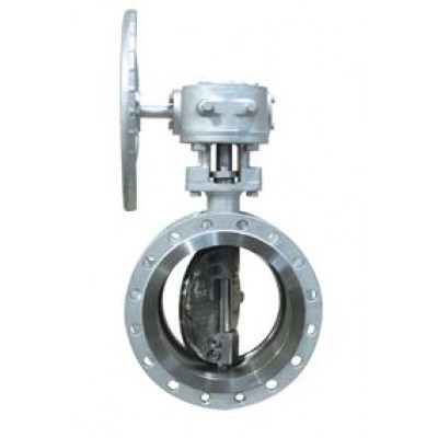 BSM flange