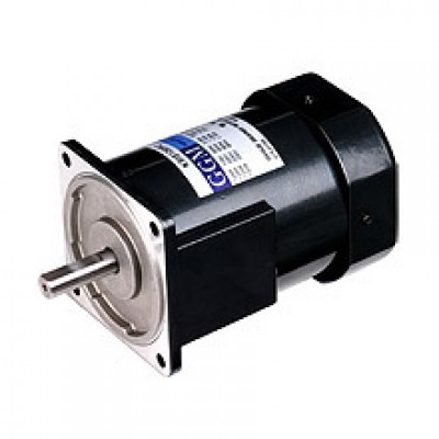 200W_AC Motor