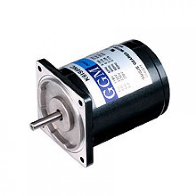 6W_AC Motor