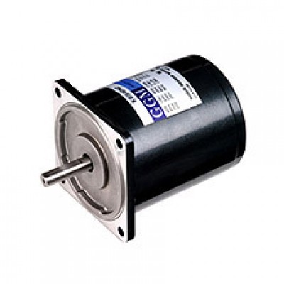 40W_AC Motor