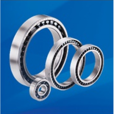 Touchdown bearings