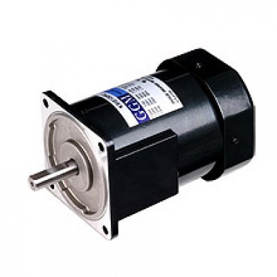 120W_AC Motor