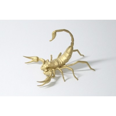 곤충모형_전갈/Insect model_scorpion