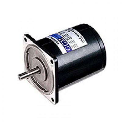 25W_AC Motor